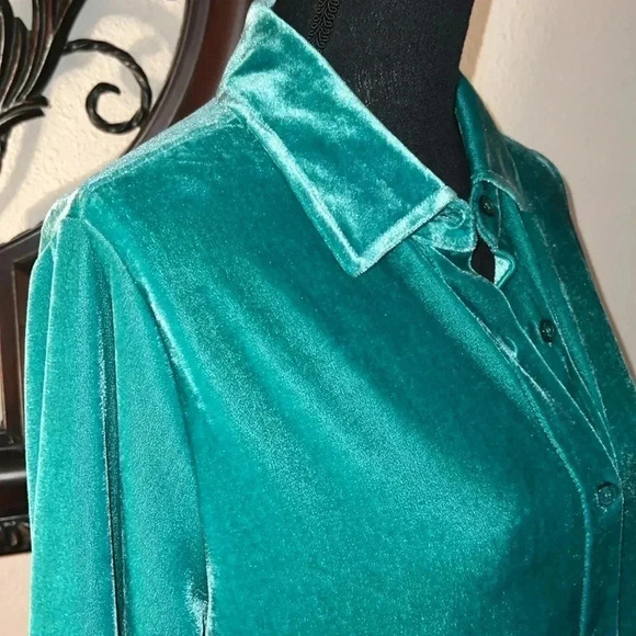 Soft Surroundings Women’s Velvet Mint Green Boyfriend Tunic Top Blouse Medium - Picture 11 of 14